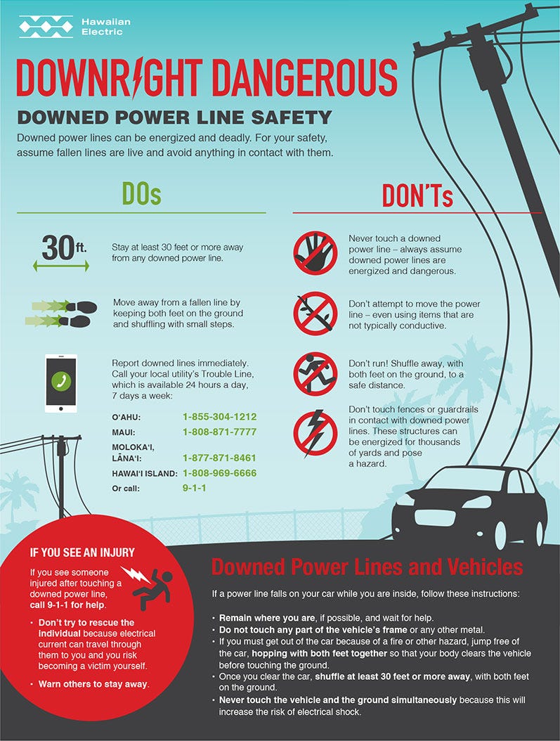 Downed Power Line Safety Infographic