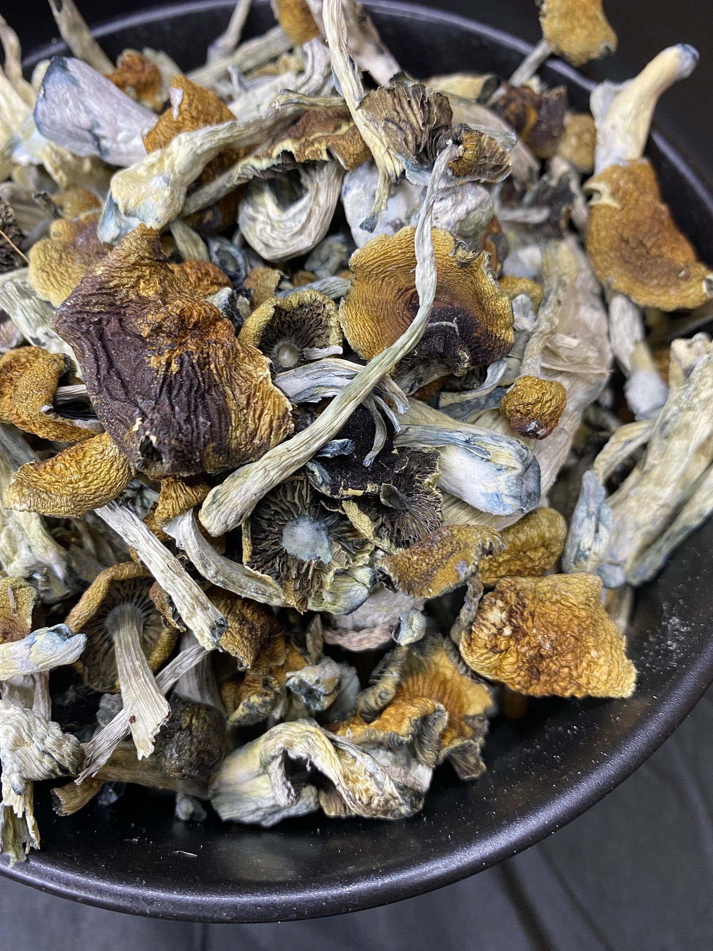 QuadCityTO Mushrooms Co. FollowTheGreenParrot.ca
