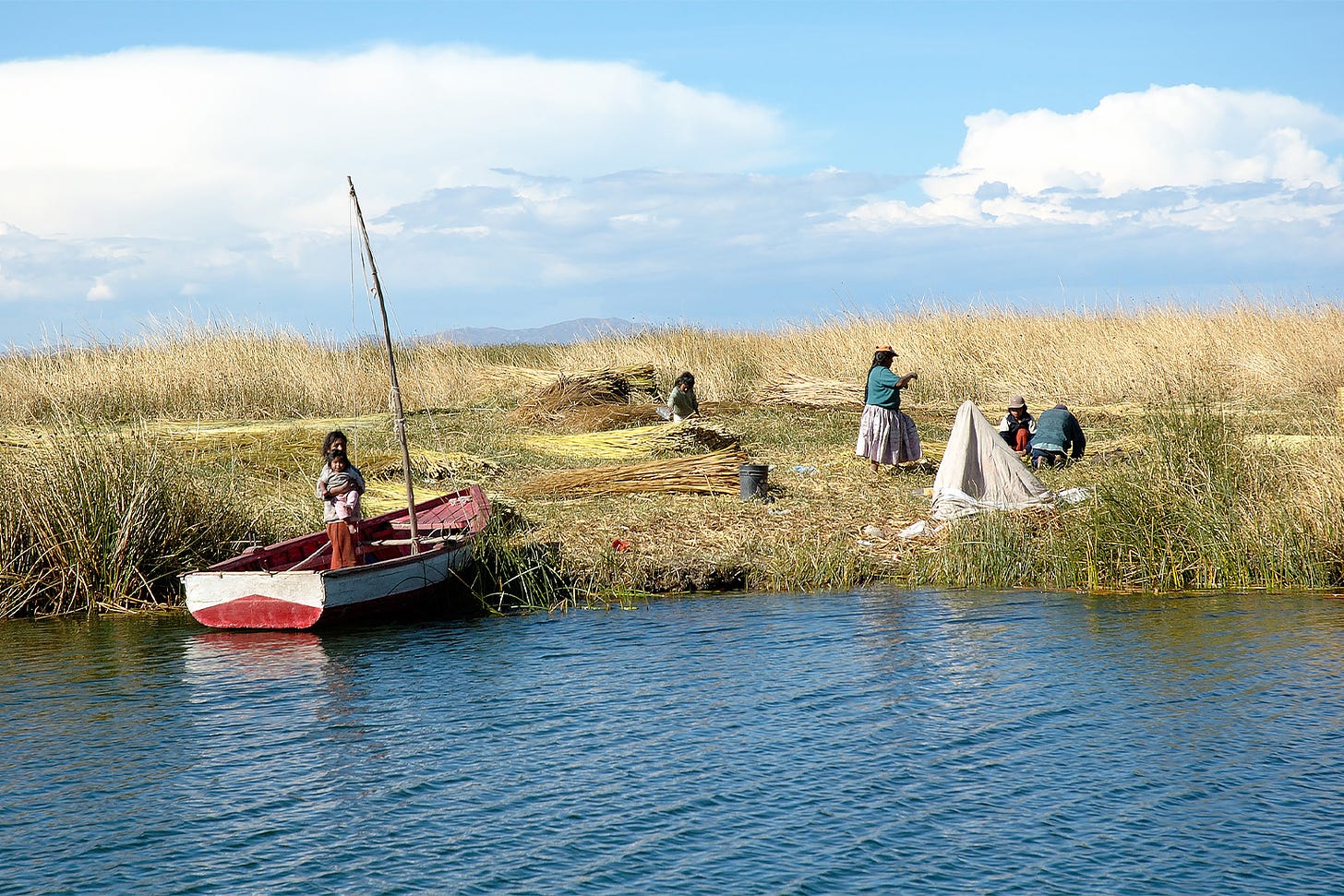 Uros people harvesting some "totora" 