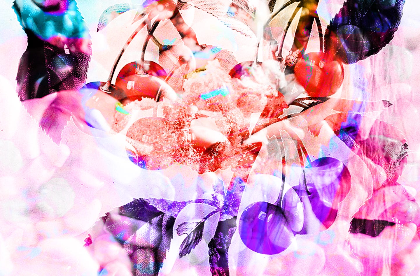 a pink and purple-toned digital collage. discernable elements include a stem of cherries