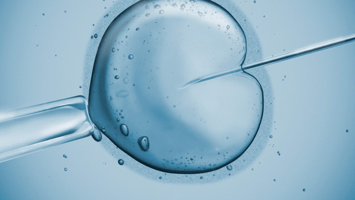 FDA weighs evidence on producing '3-parent' embryos | Fox News