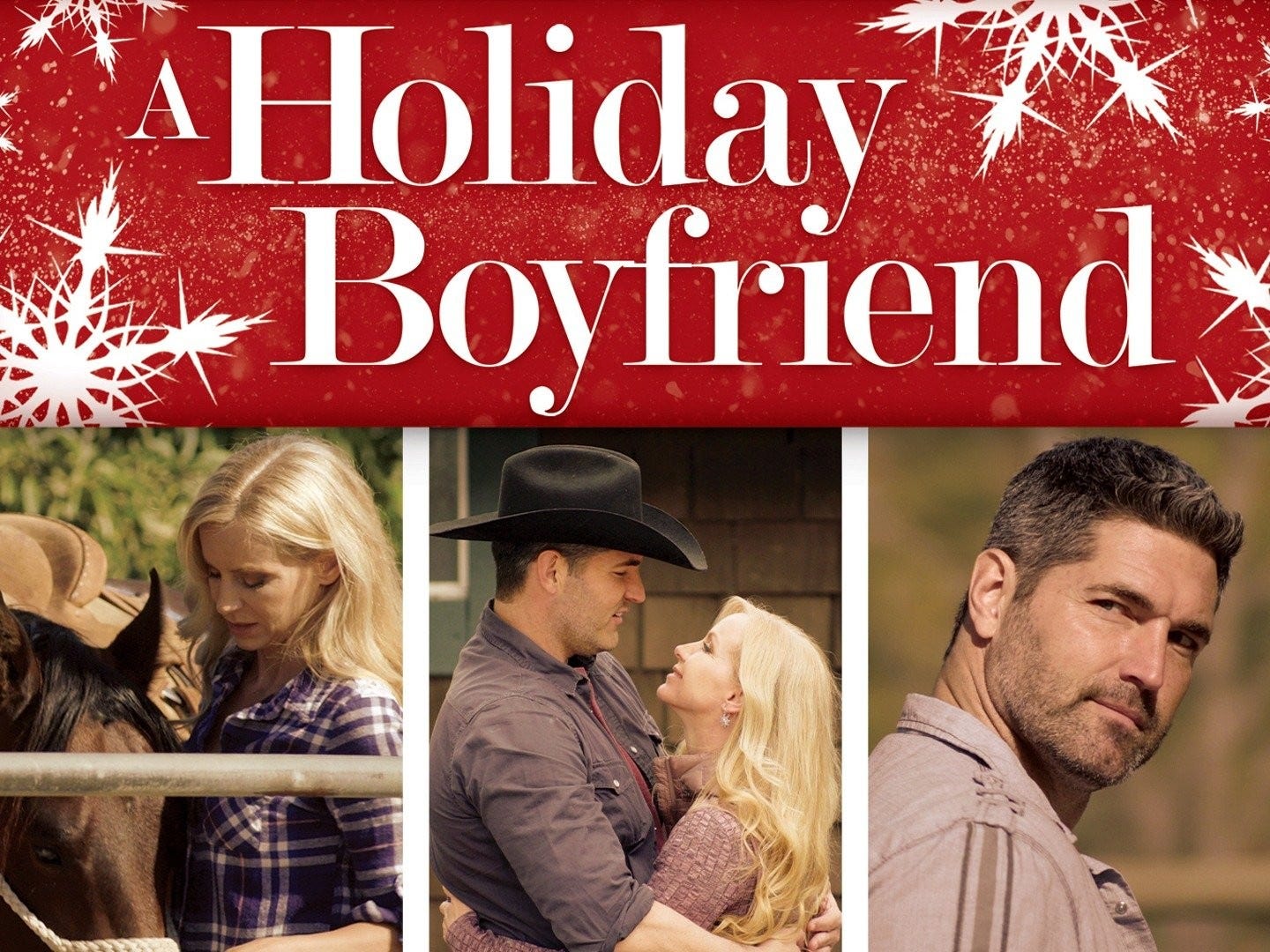A Holiday Boyfriend - Rotten Tomatoes