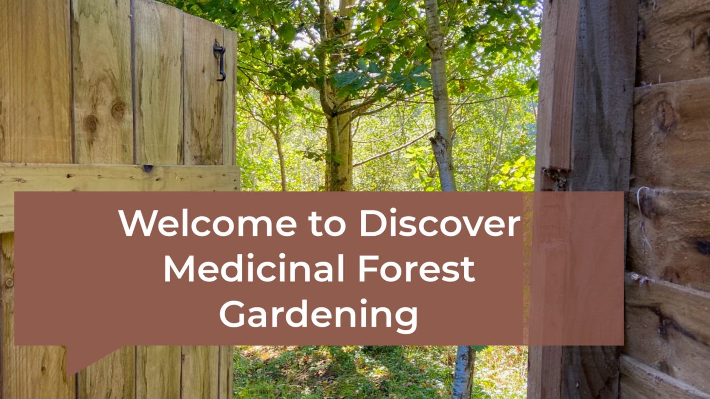 Open doors onto woodland with welcome caption