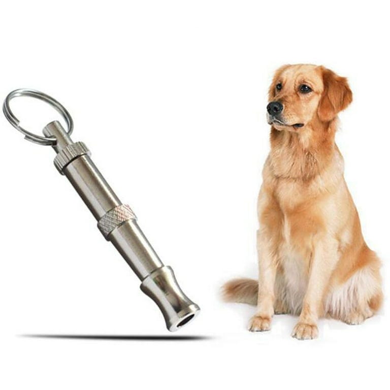 Professional Dog Whistles for Raising and Training Dogs