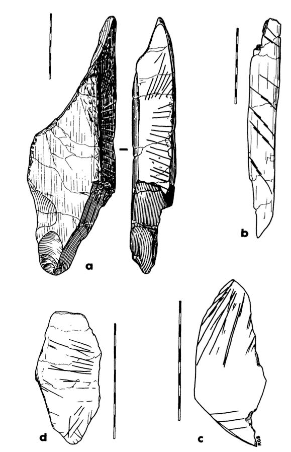 Figure 1 from Bednarik 1995. Figure 1 from Bednarik 1995.