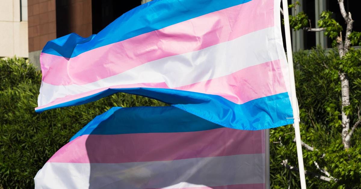 Trans Flag Creator: Worrying About Bernie Sanders' Wrinkled Trans Flag Is  "Chickensh*t" | News | Logo TV