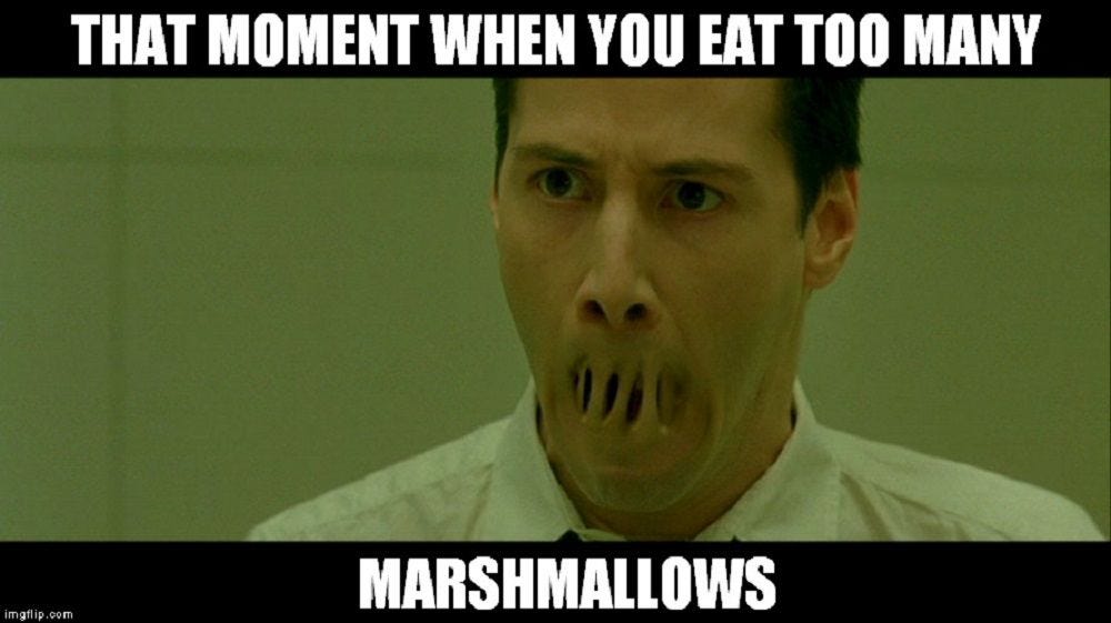 10 Matrix Memes That'll Have You Laughing Your Way To The Real World