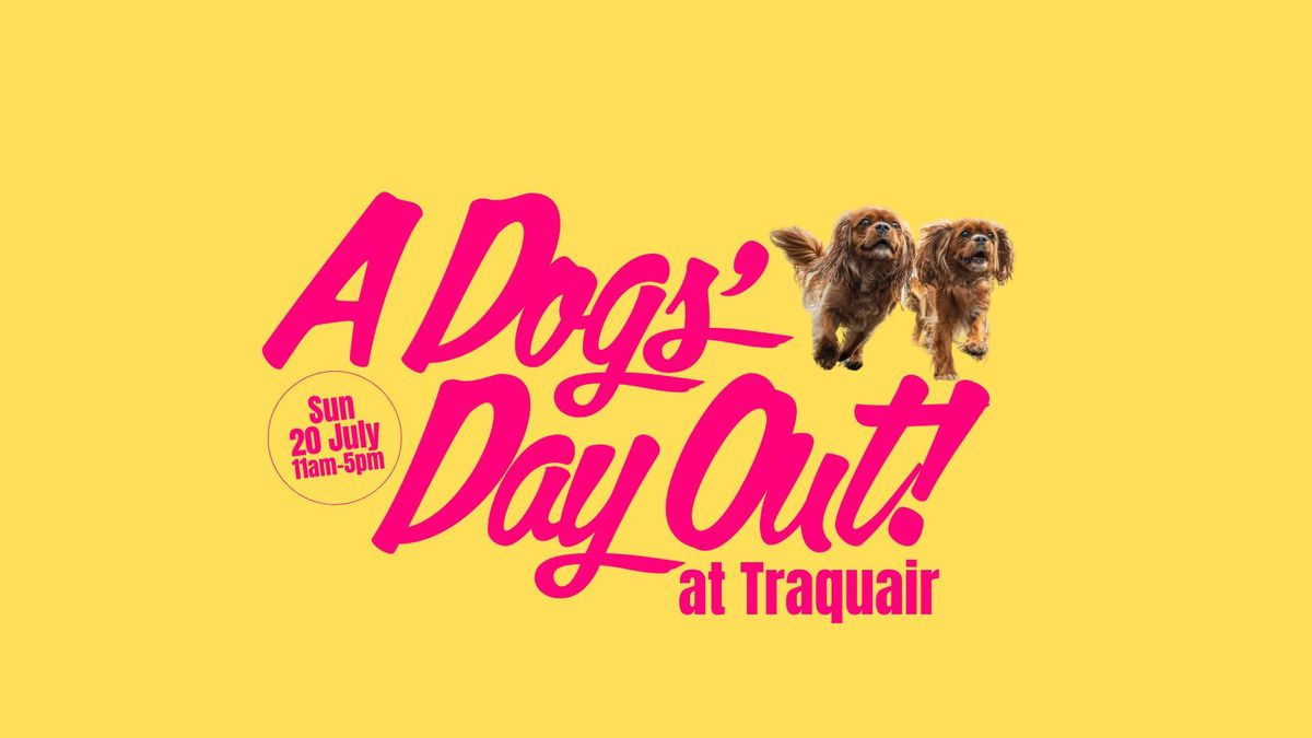 A Dog's Day Out at Traquair, 20 July | Event in Peebles | AllEvents