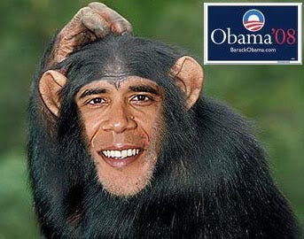 Primate in Chief: A Guide to Racist Obama Monkey Photoshops | by The Awl |  The Awl | Medium