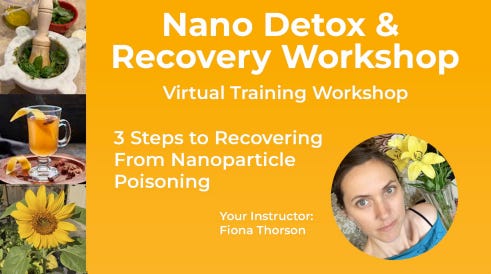 nano detox coaching