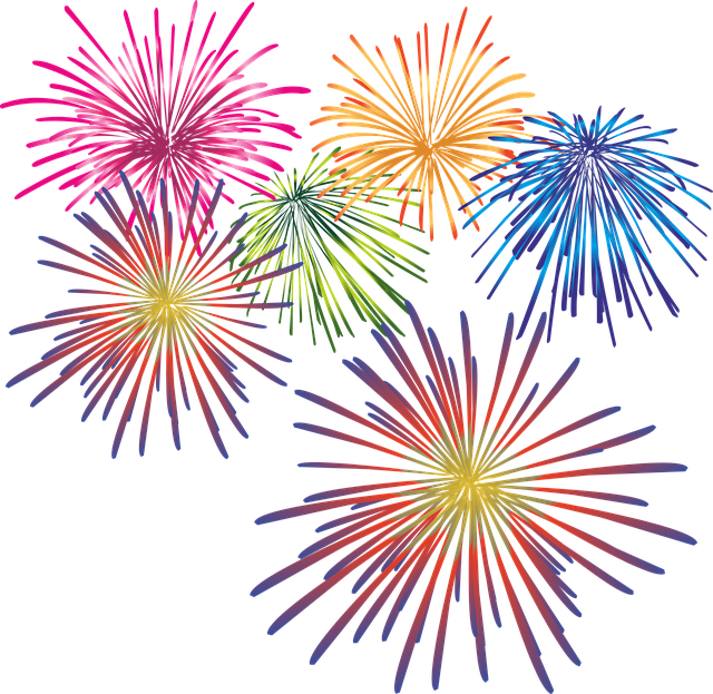 fireworks vector image