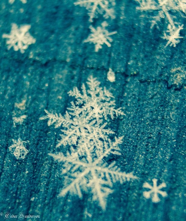 snowflake photography 