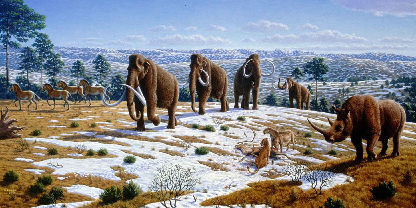 Ice Age landscape with mammoths, horses, and woolly rhinoceros Ice Age landscape with mammoths, horses, and woolly rhinoceros