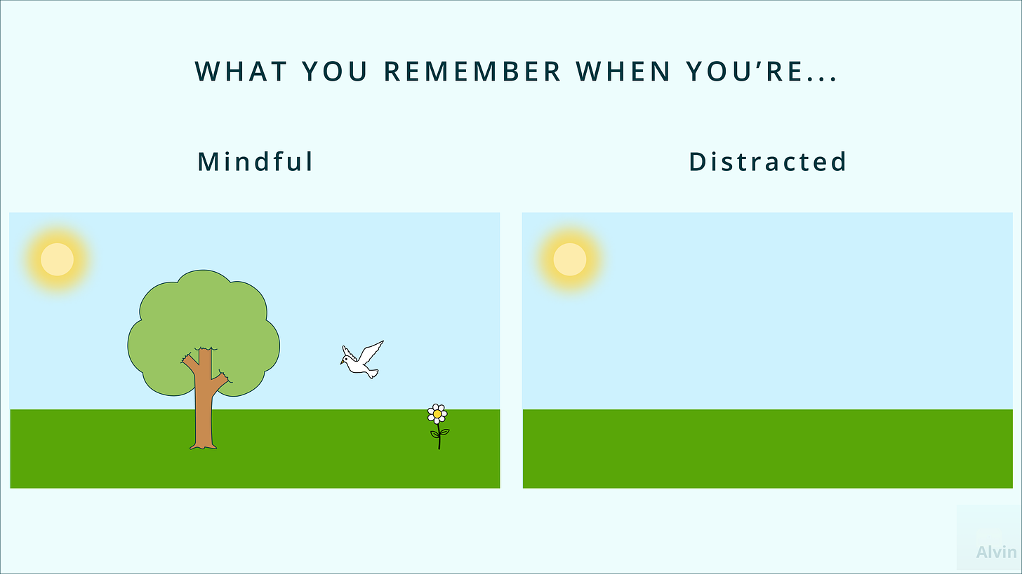 What you remember when you're mindful: the sun, the grass, the tree, the bird, and the flower. What you remember when you're distracted: the sun, and the grass.