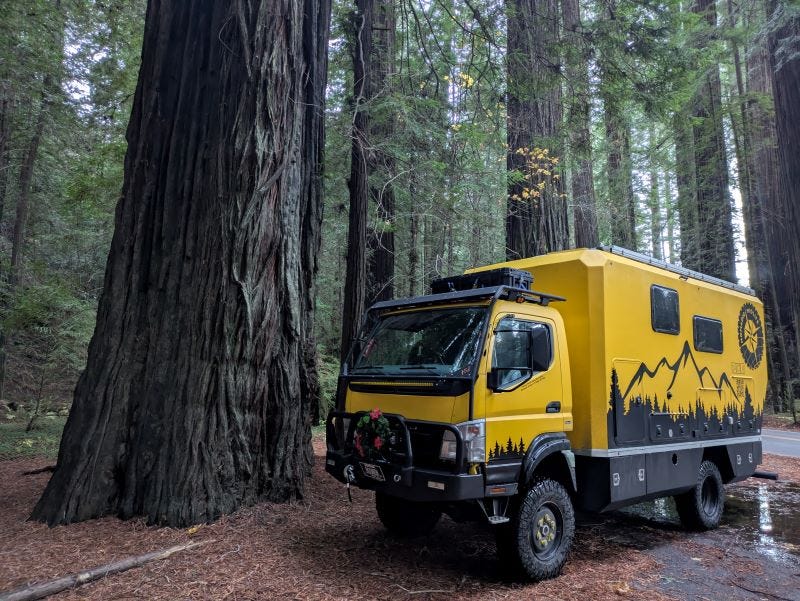 Walter the big yellow truck parked in a forest next to an enormous redwood tree nearly as large at the base as the truck itself