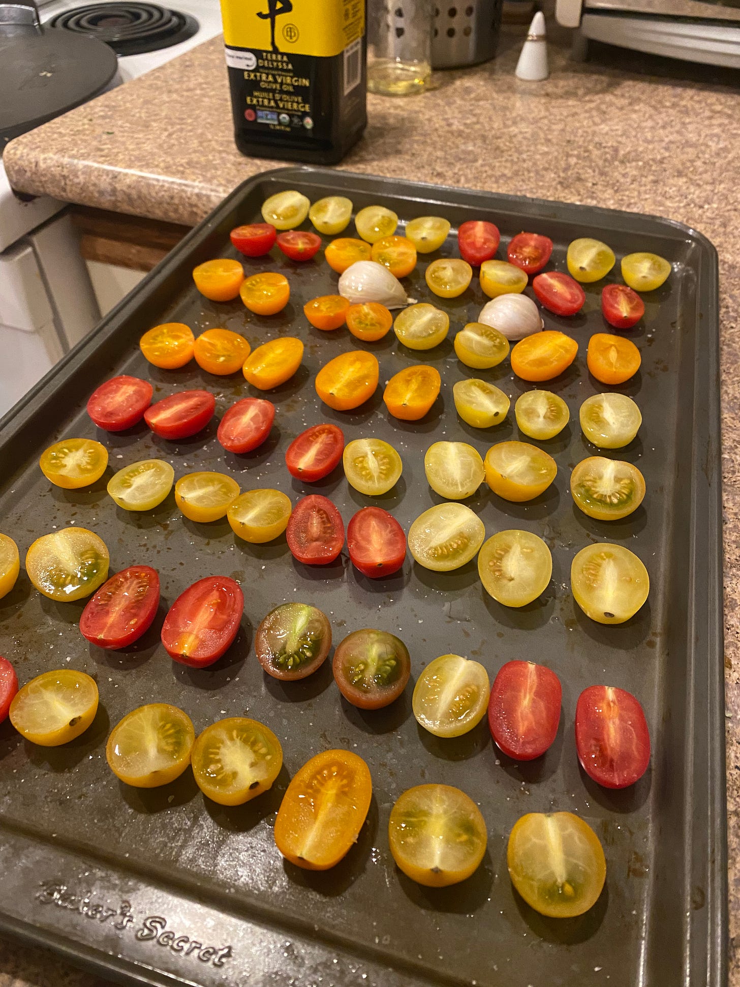 A sheet pan of small multicoloured tomatoes, sliced in half and covered with oil and salt. Two large unpeeled garlic cloves are also arranged in the pan. The bottle of olive oil is just visible in the background.