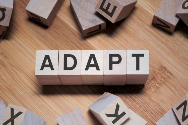 Why Adapting is the Most Crucial Skill You'll Ever Learn