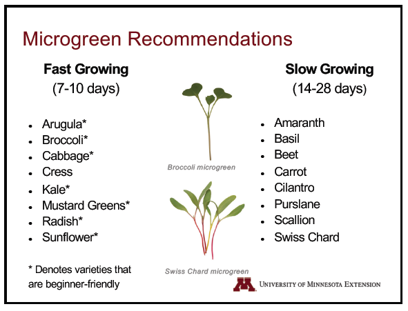 Fast Growing v Slow Growing Unive of MN.jpeg.png