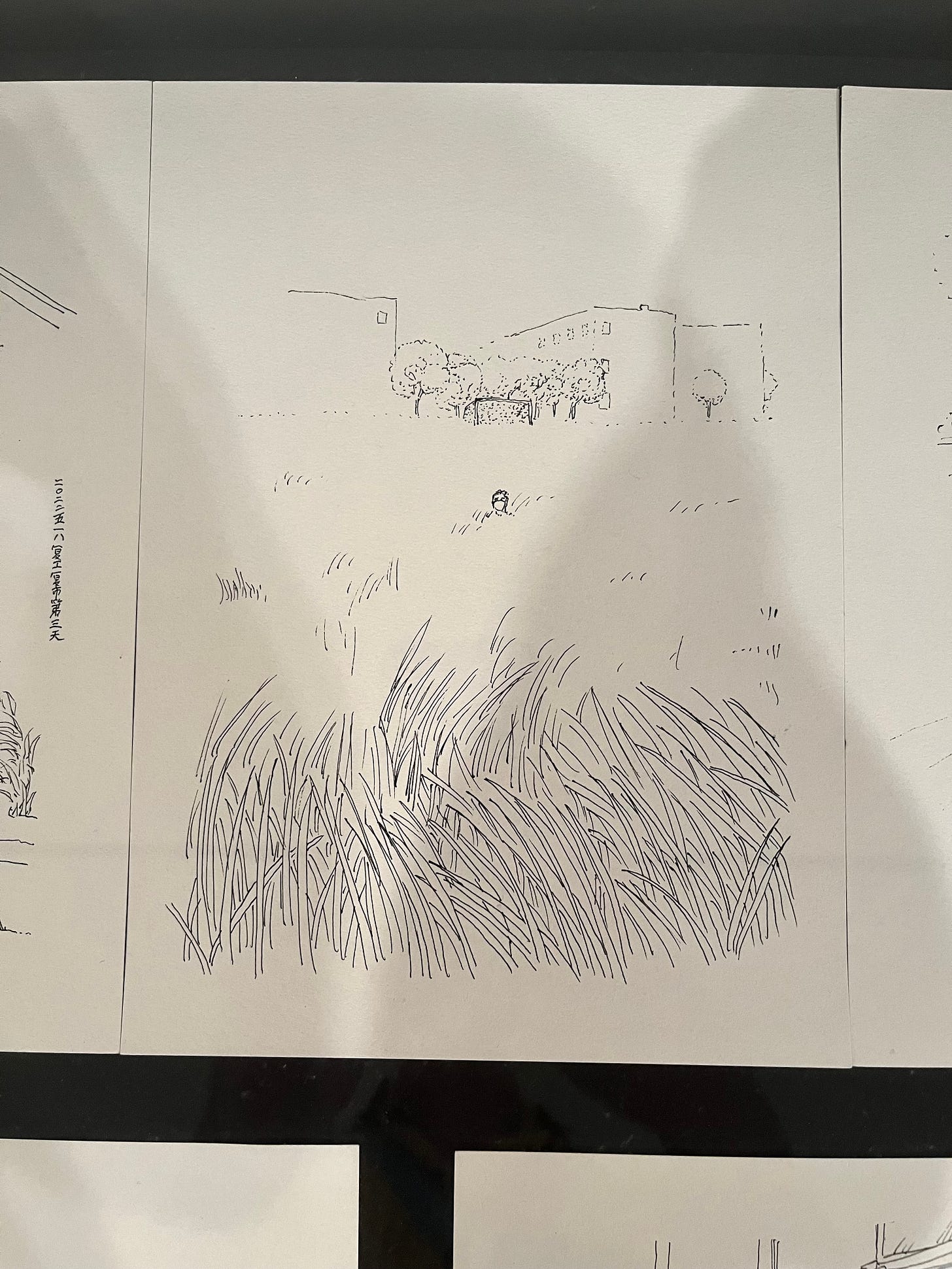 A photo of a line drawing featuring some detailed grass in the foreground, a lot of empty space and a small figure in the middle of the page. There are some buildings in the background. The line work is sparse and minimal.