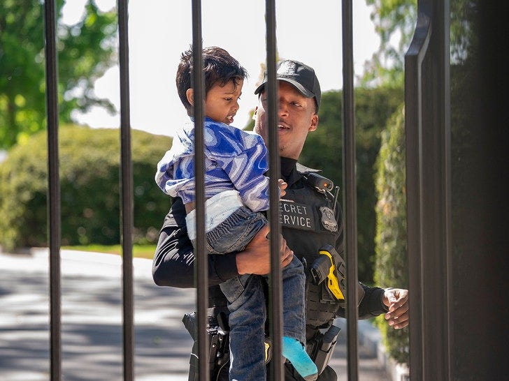 Toddler Intercepted by White House Security After Slipping Through Gate