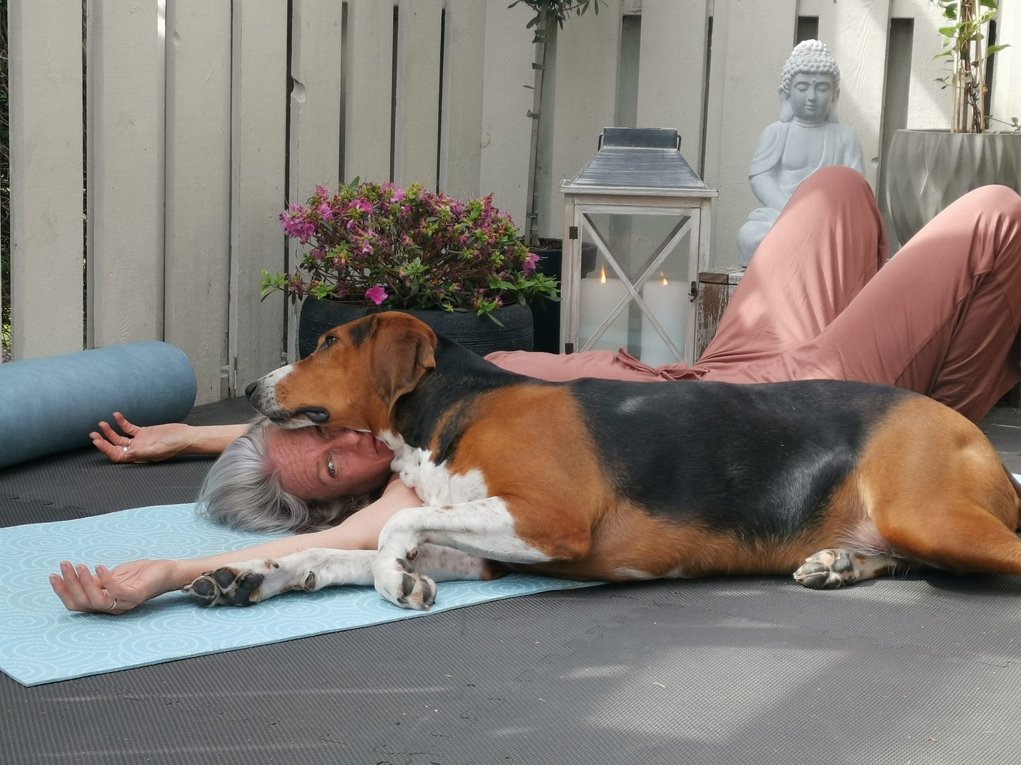 Ren is lying on a blue yoga mat, with flowering plants, candles and a buddha statue behind her. A large fox hound is lying beside her and up over her chest, resting his head on hers, effectively pinning her to the mat.