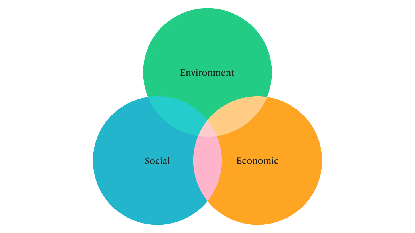 The intersecting circles representing sustainability. They are labelled "environment, social and economic".
