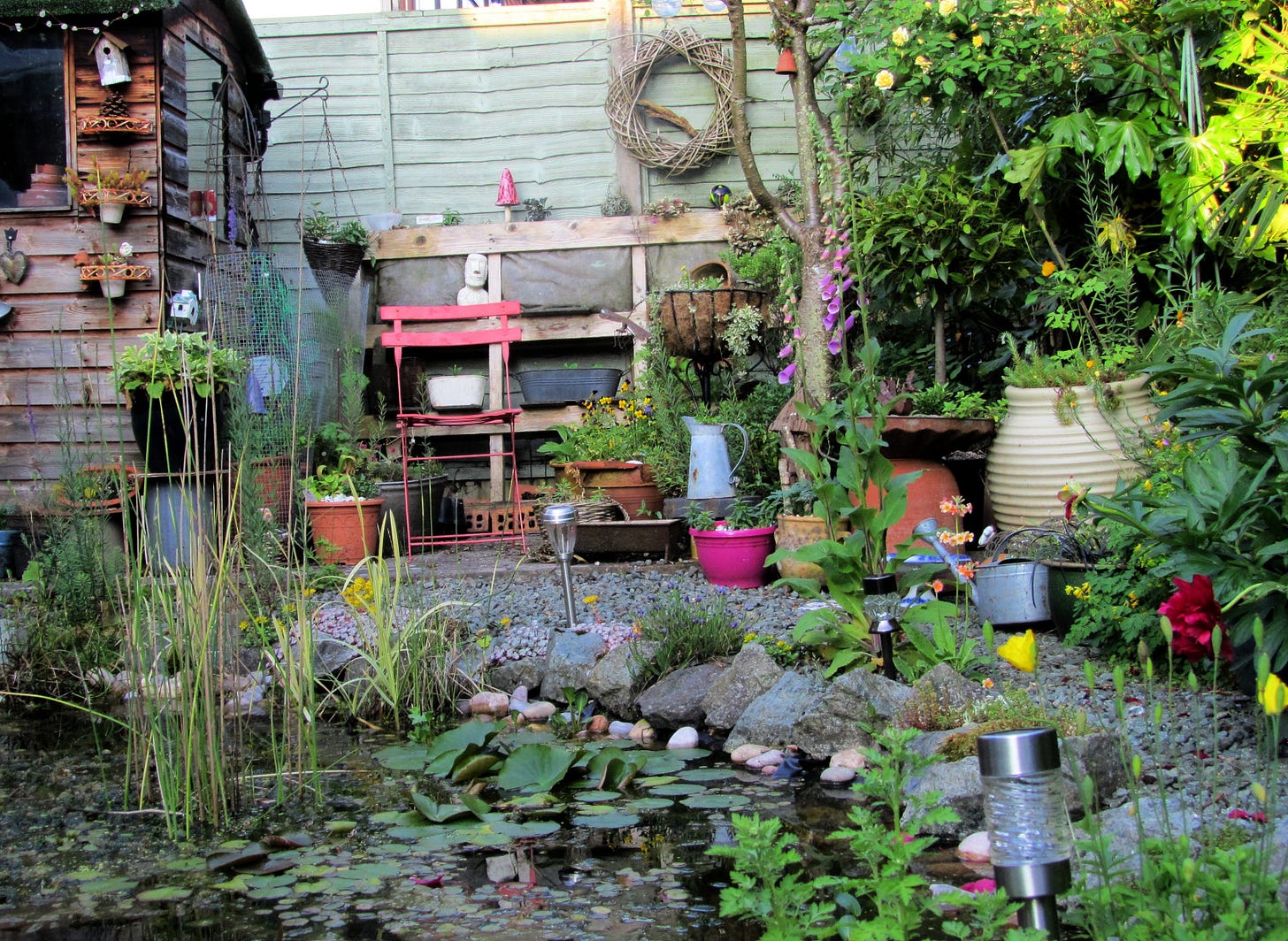 Garden pond. Credit: Scrappy Annie, Flickr.