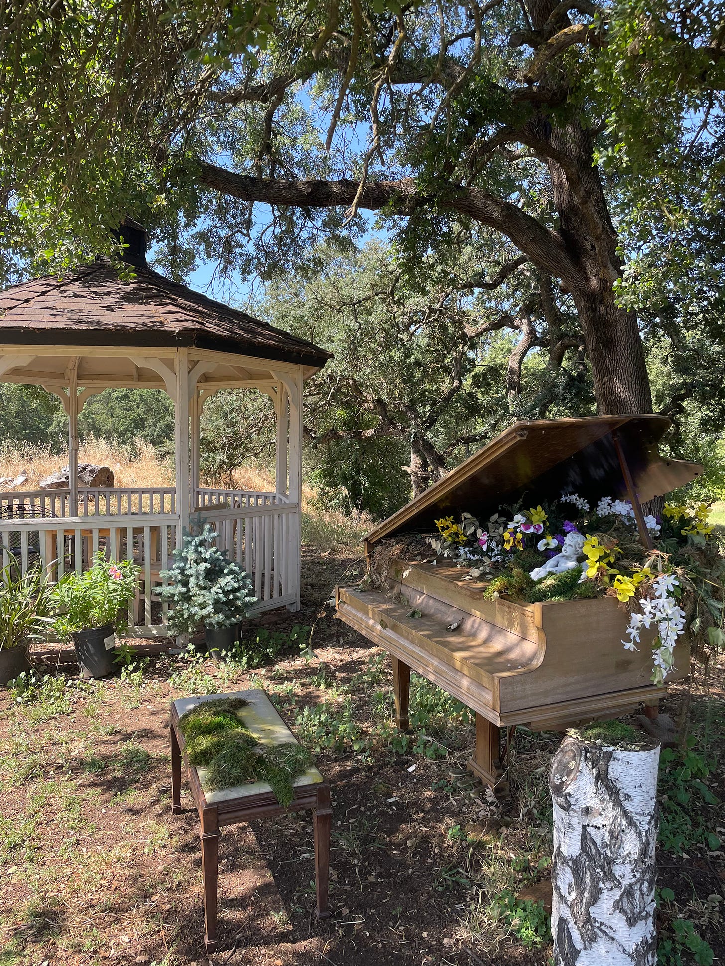 To the left further in the back, a white gazebo. To the right closer to the front, a beige piano with flowers atop it. Trees and plants are scattered throughout the space. 