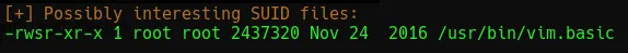 Terminal output showing SUID file identified.