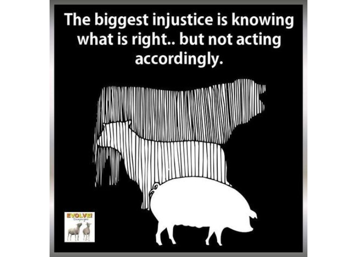 Knowing better means doing better. Let’s act with compassion for all living beings. 🌱