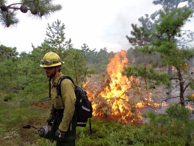 A firefighter standing in front of a fire
AI-generated content may be incorrect. A firefighter standing in front of a fire
AI-generated content may be incorrect.