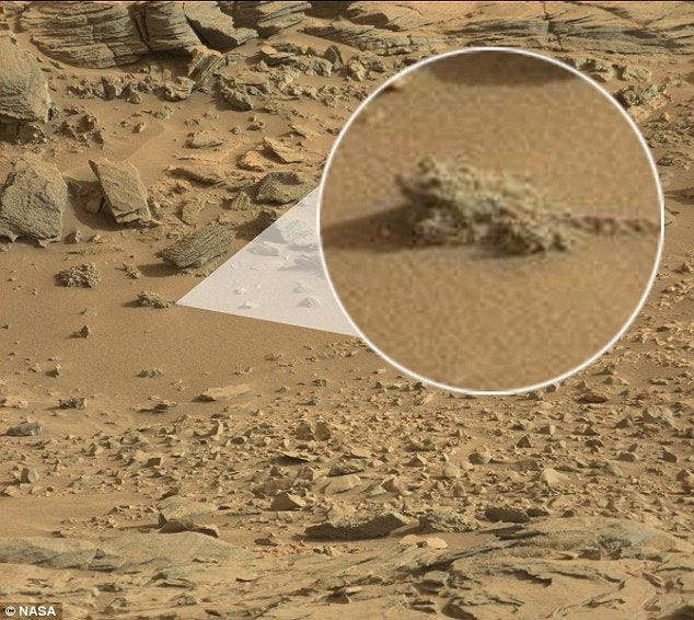 A year previously, alien hunters spotted a 'frog' on Mars (pictured above). The dubious discovery was made by Jason Hunter who shared a video showing the amphibian-shaped rock on YouTube