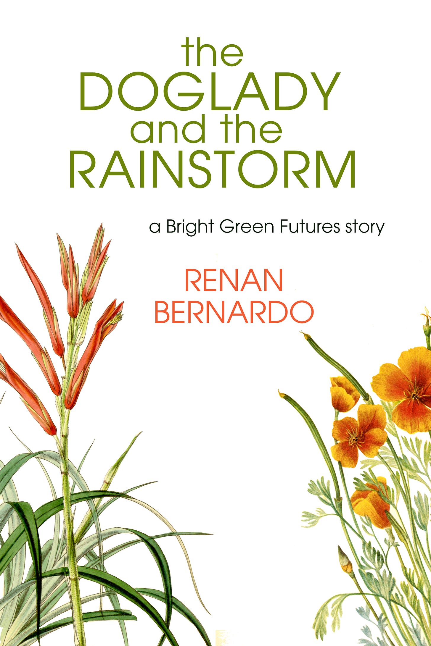 white background with illustrated botanical drawings of flowers, The Doglady and the Rainstorm by Renan Bernardo