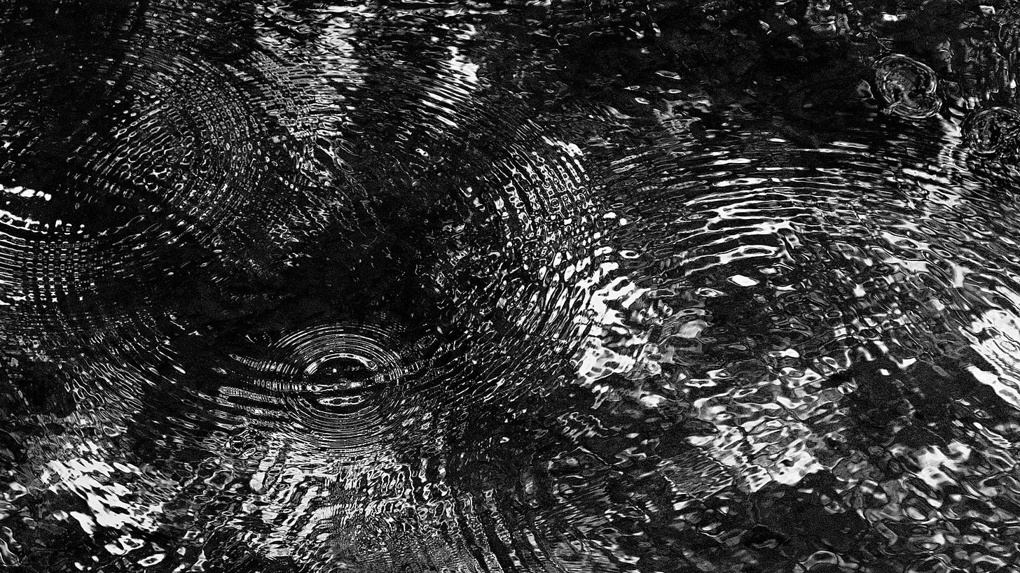 rippled rings on the surface of water
