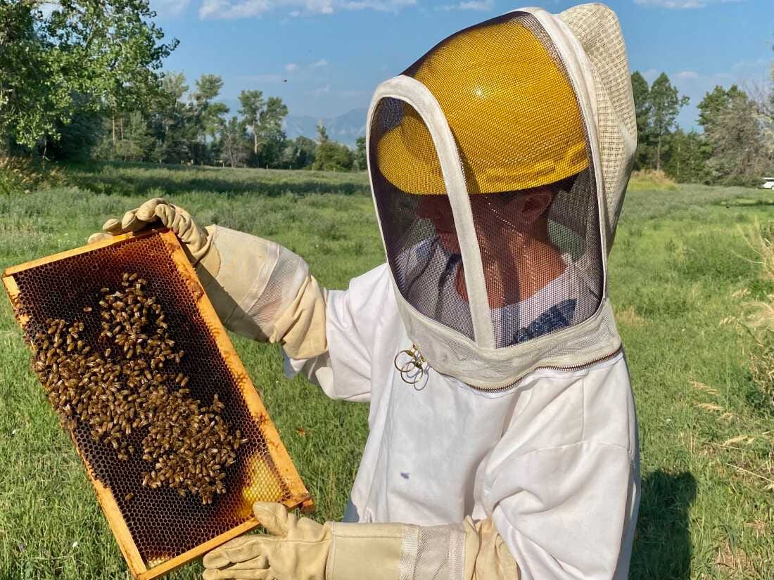 Kimberly Drennan, CEO and CO-founder, checking on her bees in Boulder, Colorado
