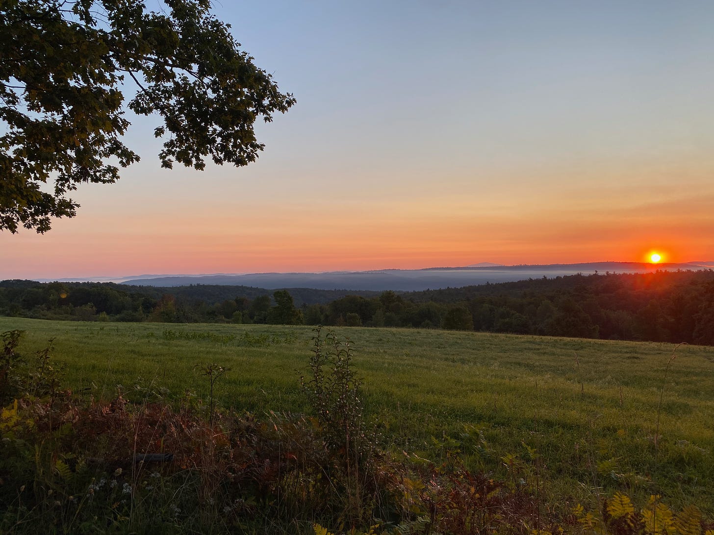 The sun rising behind misty hills, in front of a green pasture. The sky is lit up in shades of orange and pink.