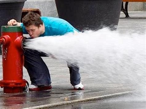 drinking from the fire hydrant Blank Template - Imgflip