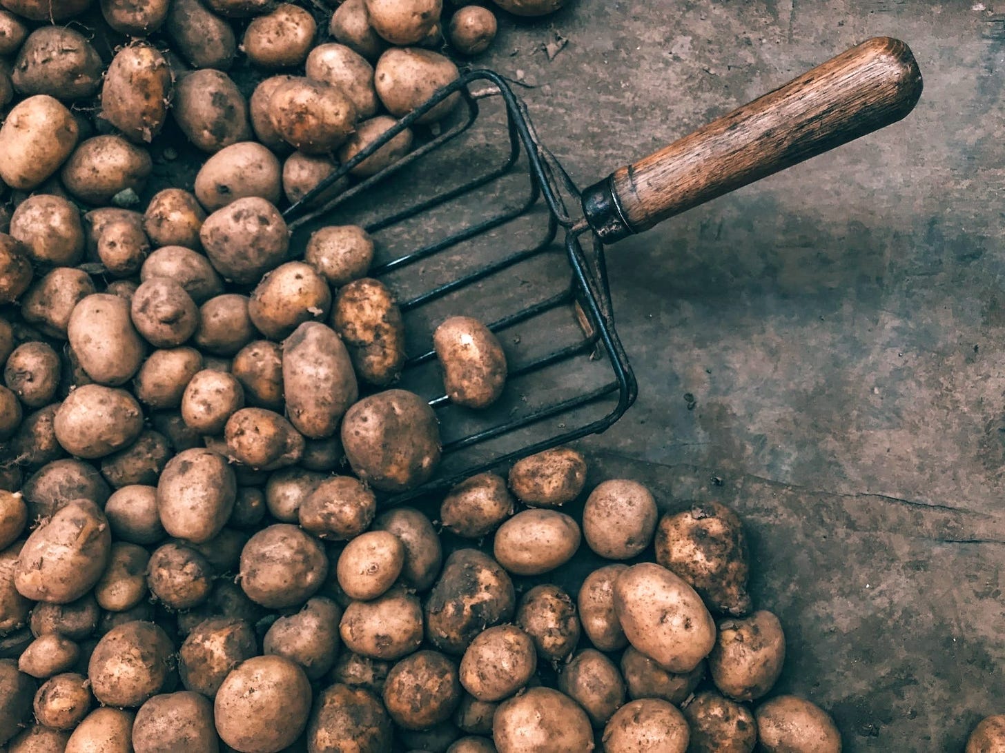 Dumb History of Potatoes