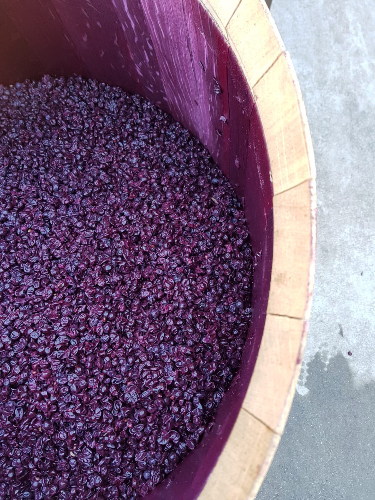 barrel fermented Cabernet Sauvignon