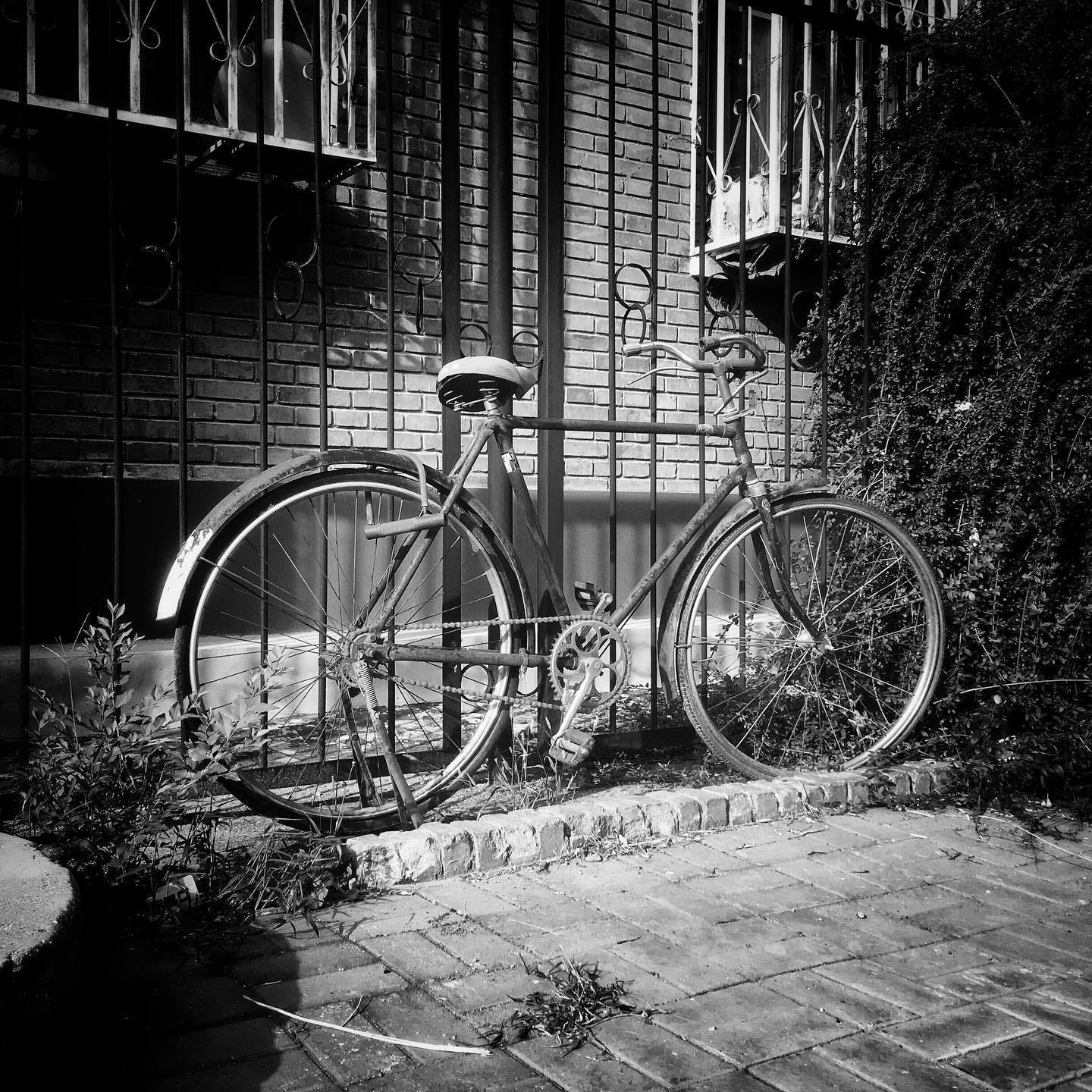 Beijing bicycle.