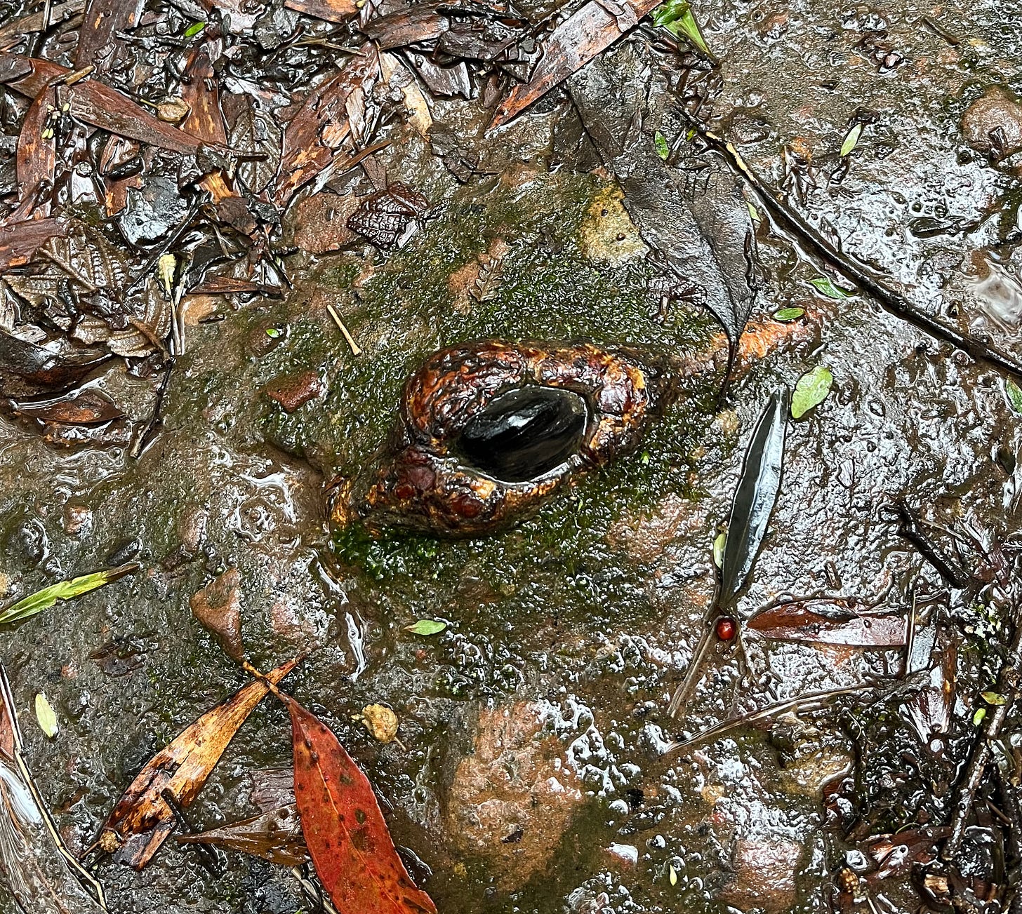 Grinding my Gears by Louise