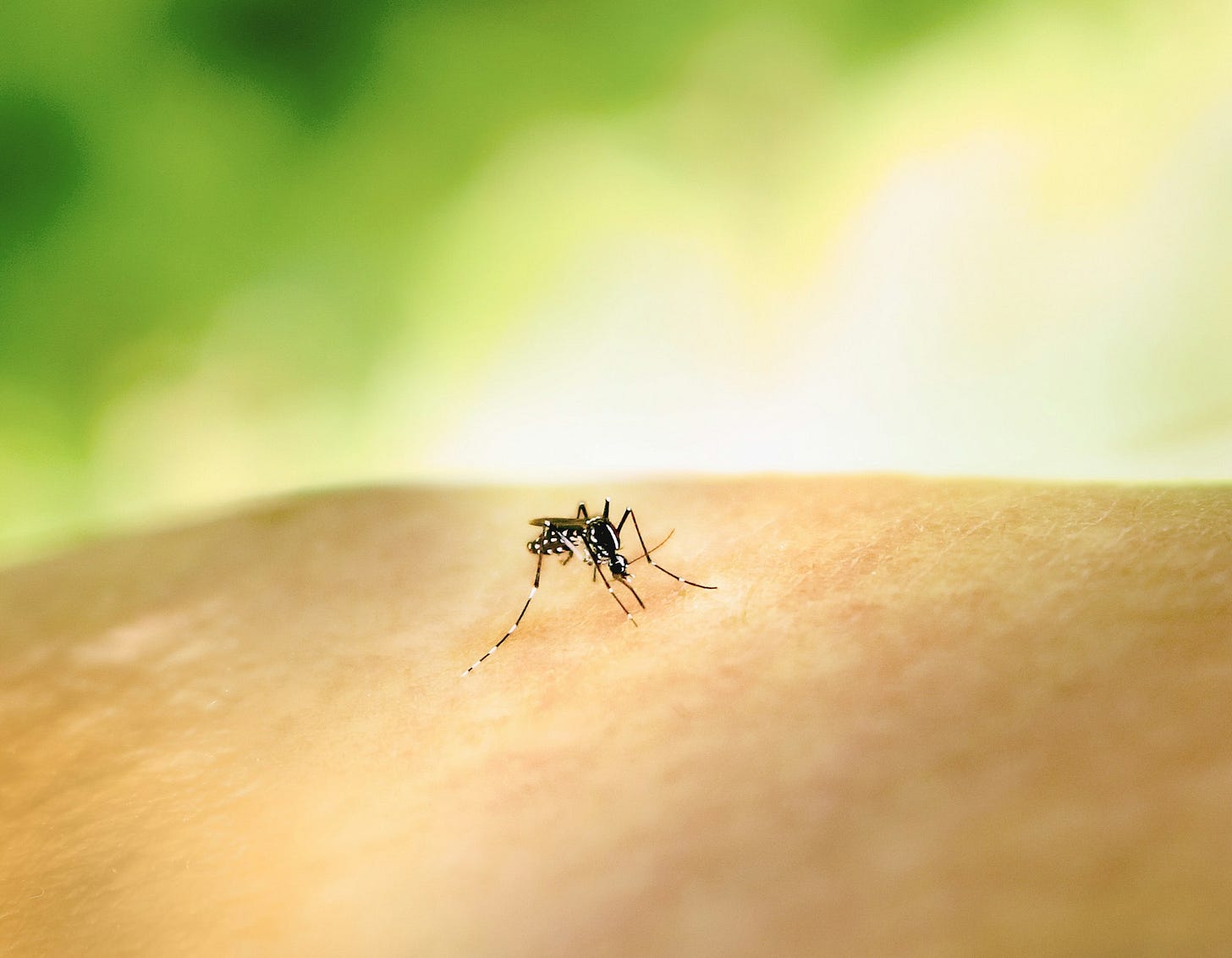 National Institute of Allergy and Infectious Diseases on Unsplash