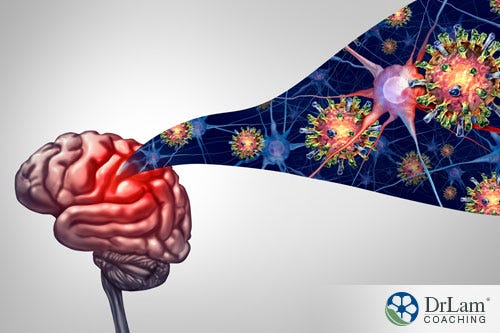 An image of a brain with a stream of components of cat's claw and the brain neurons flowing from it