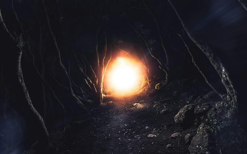 A glowing circle of light at the end of a path, around the path are the twisted branches and rocks of a dark forest