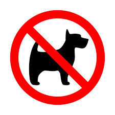 1,000+ No Dogs Allowed Sign Stock Photos, Pictures & Royalty-Free Images -  iStock