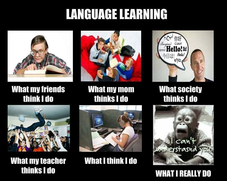 Language Learning | Memes sarcastic, Language, Learning