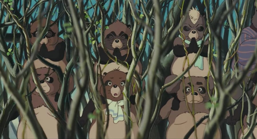 guaxinins no estilo ursinho pooh fofinhos montados nos ombros um do outro (são seis) entre galhos de árvore
