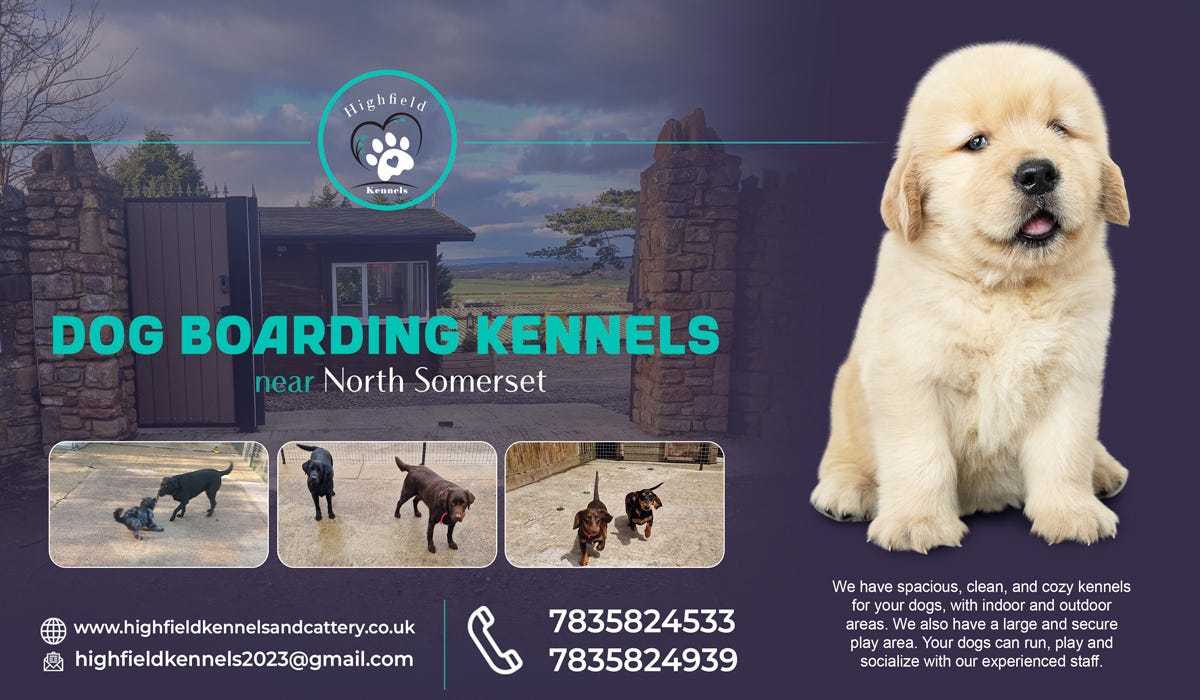 Reliable Dog Boarding Kennels near you Choose Wisely