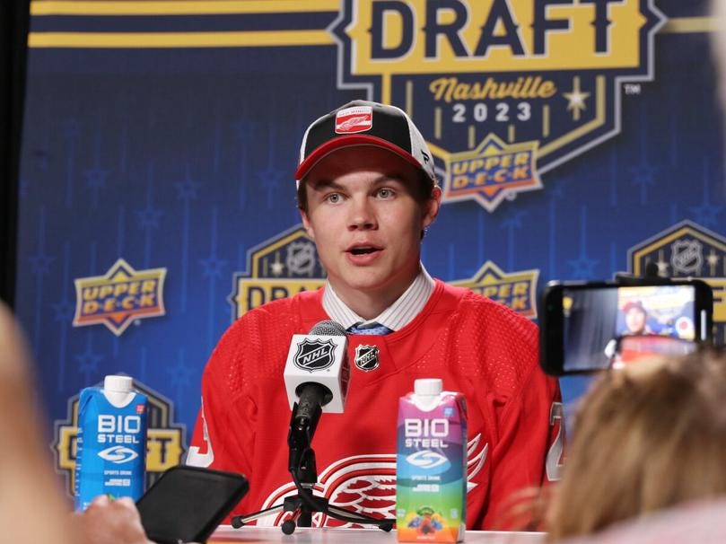 Axel Sandin Pellikka Detroit Red Wings