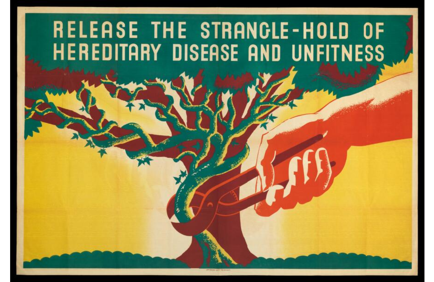 https://upload.wikimedia.org/wikipedia/commons/2/24/Eugenics_Society_Poster_%281930s%29.png